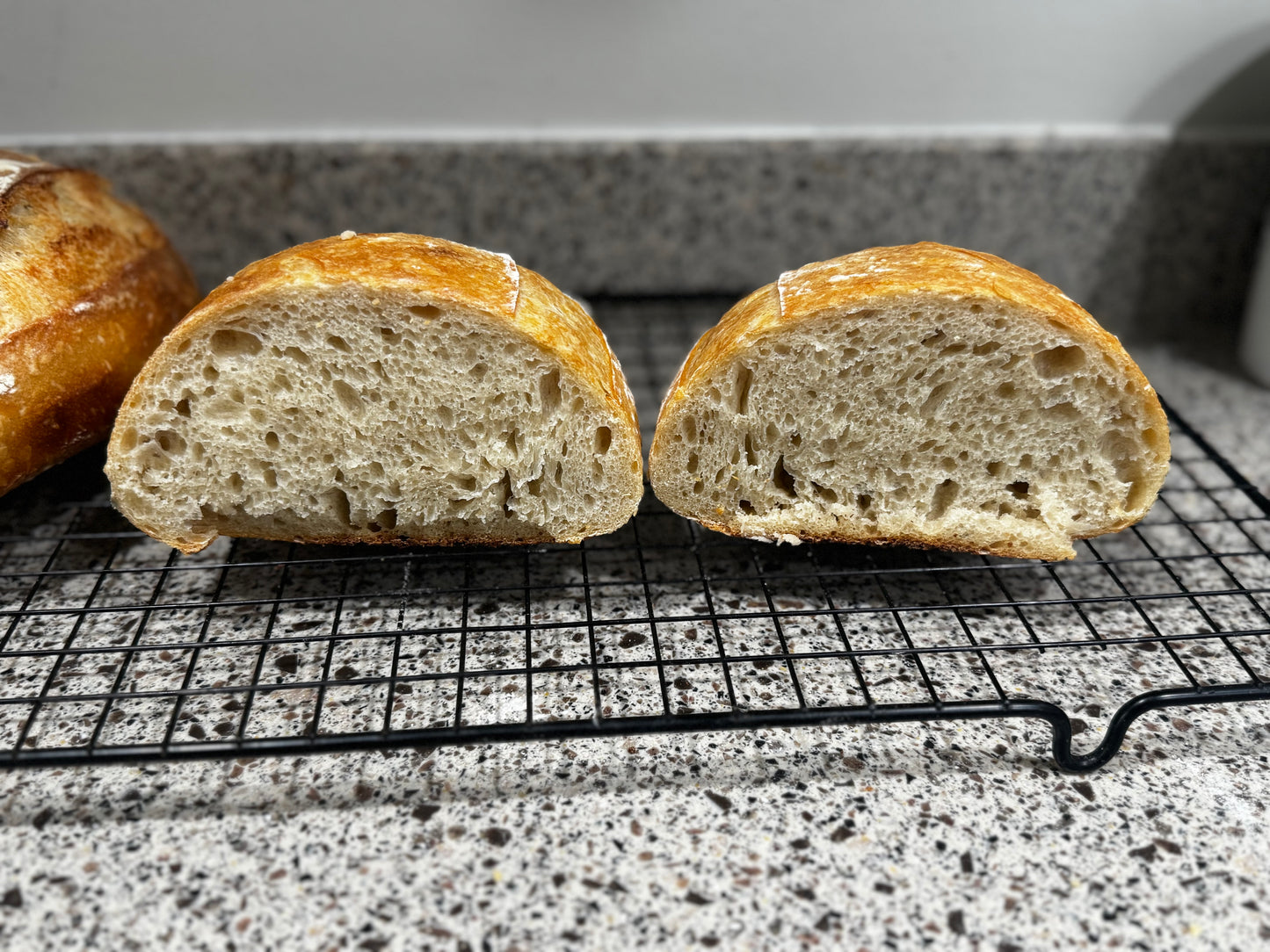 Sourdough Starter Kit $9.99 Free Shipping