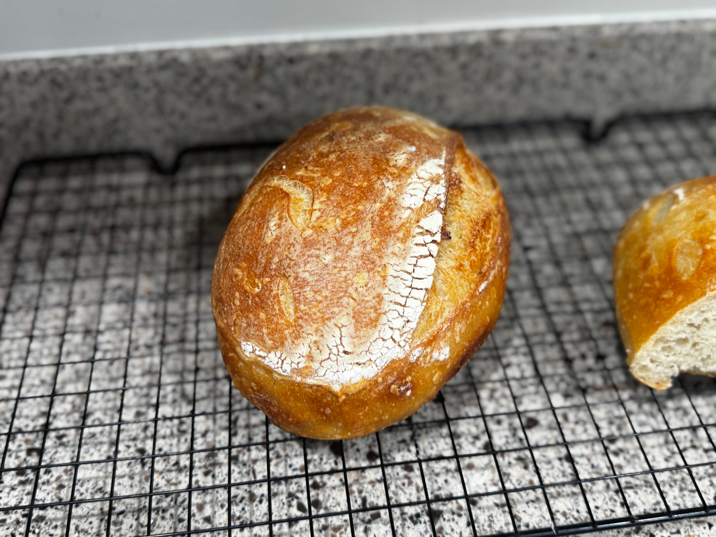 Sourdough Starter Kit $9.99 Free Shipping